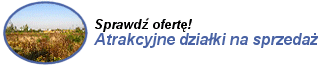Atrakcyjne dziaki na sprzeda