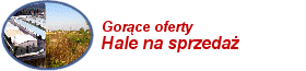 Hale na sprzeda